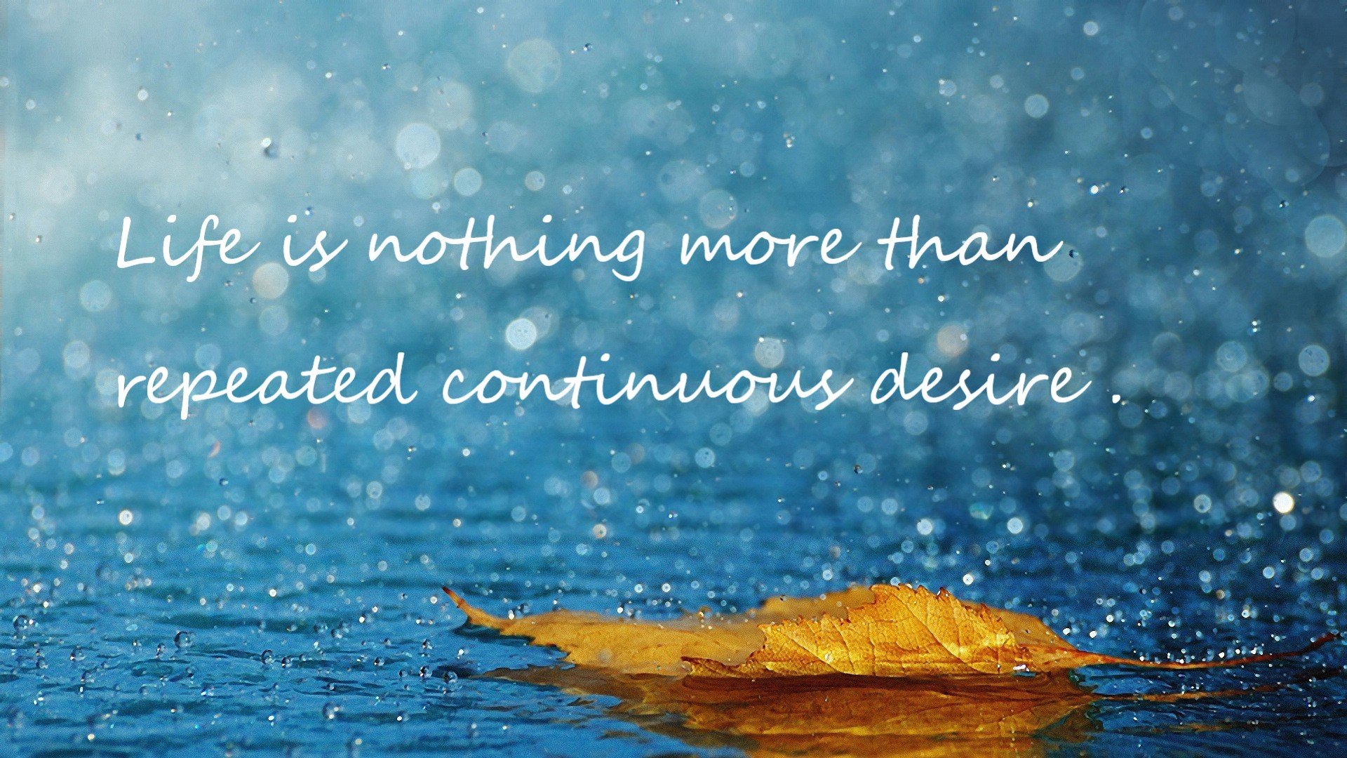 冰与火的碰撞，从年终总决赛的王者，到戴维斯杯的守护神—梅德韦杰夫如何点燃两个迥异的赛场