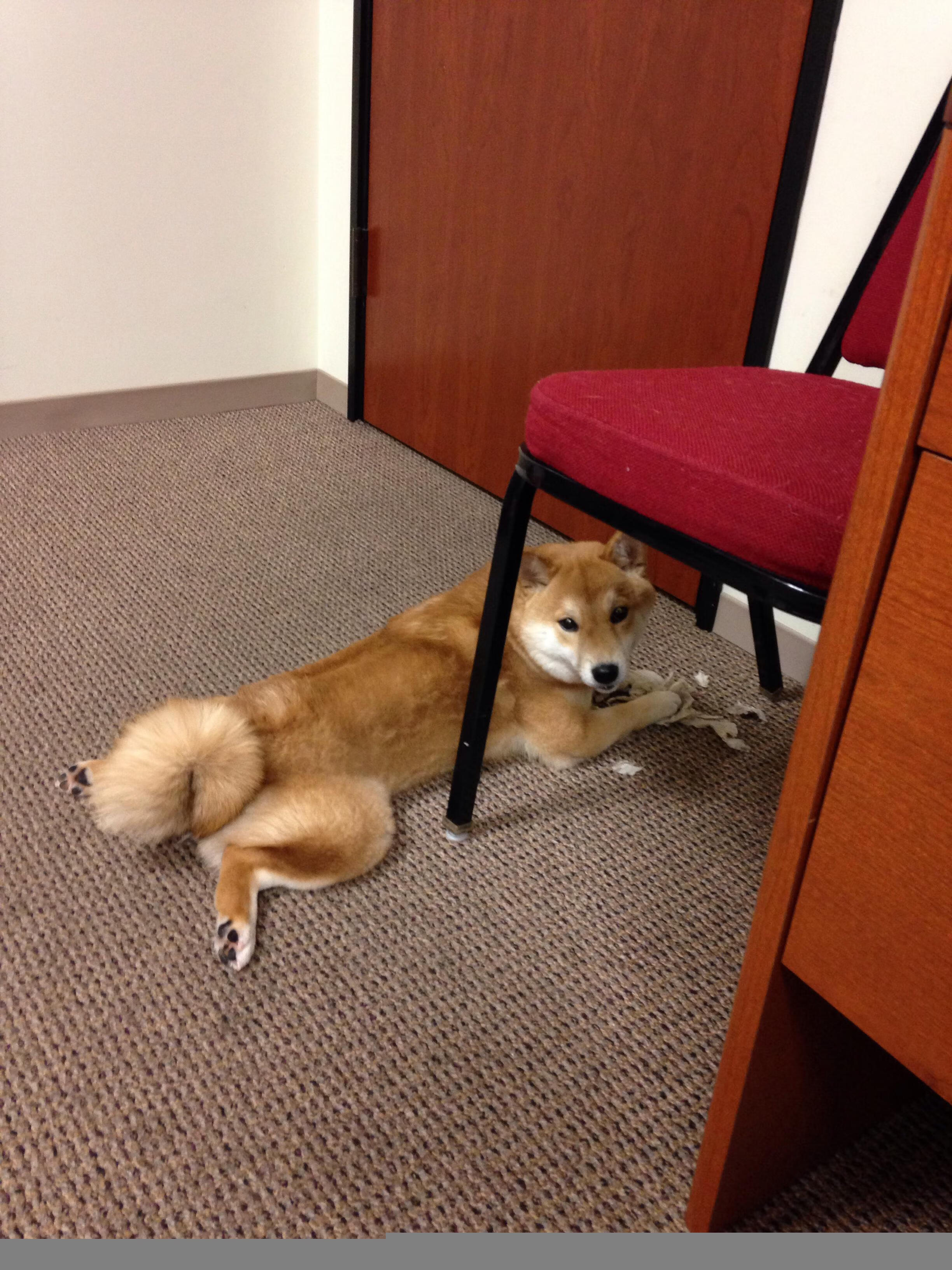 爱游戏-恩佐一锤定音，土耳其对阵莱比锡红牛早早失去悬念