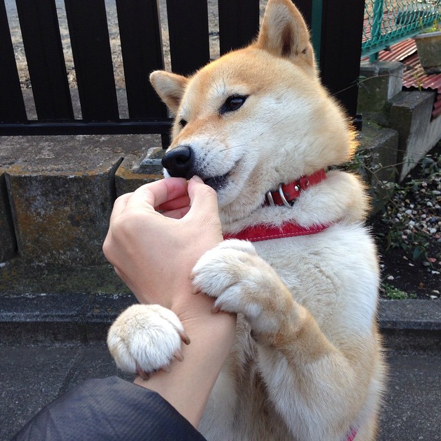 团队韧性与超级英雄，篮球比赛中的两种心跳