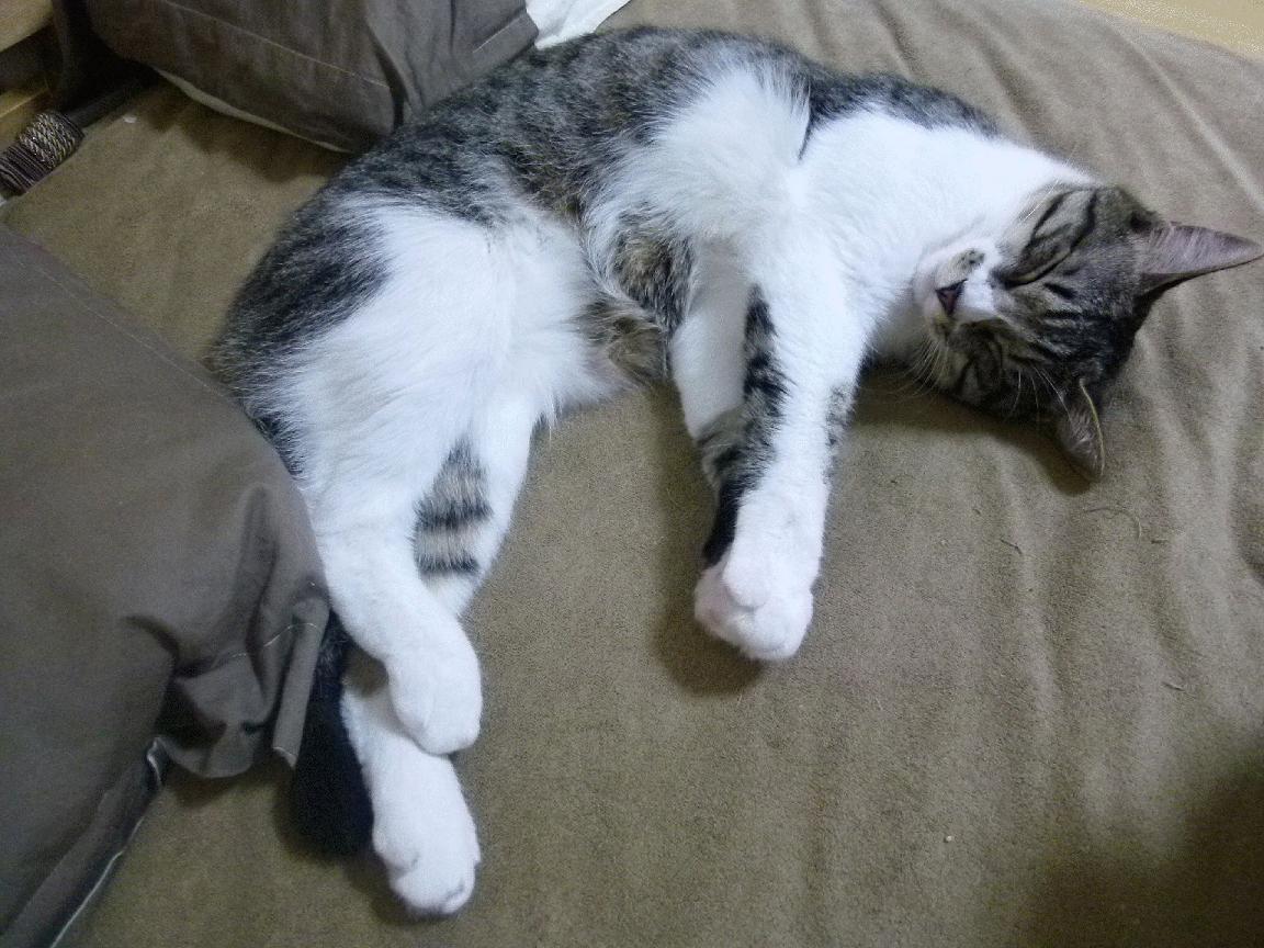 破壁者，当乔治的爆发成为独行侠淘汰赛的通行密钥