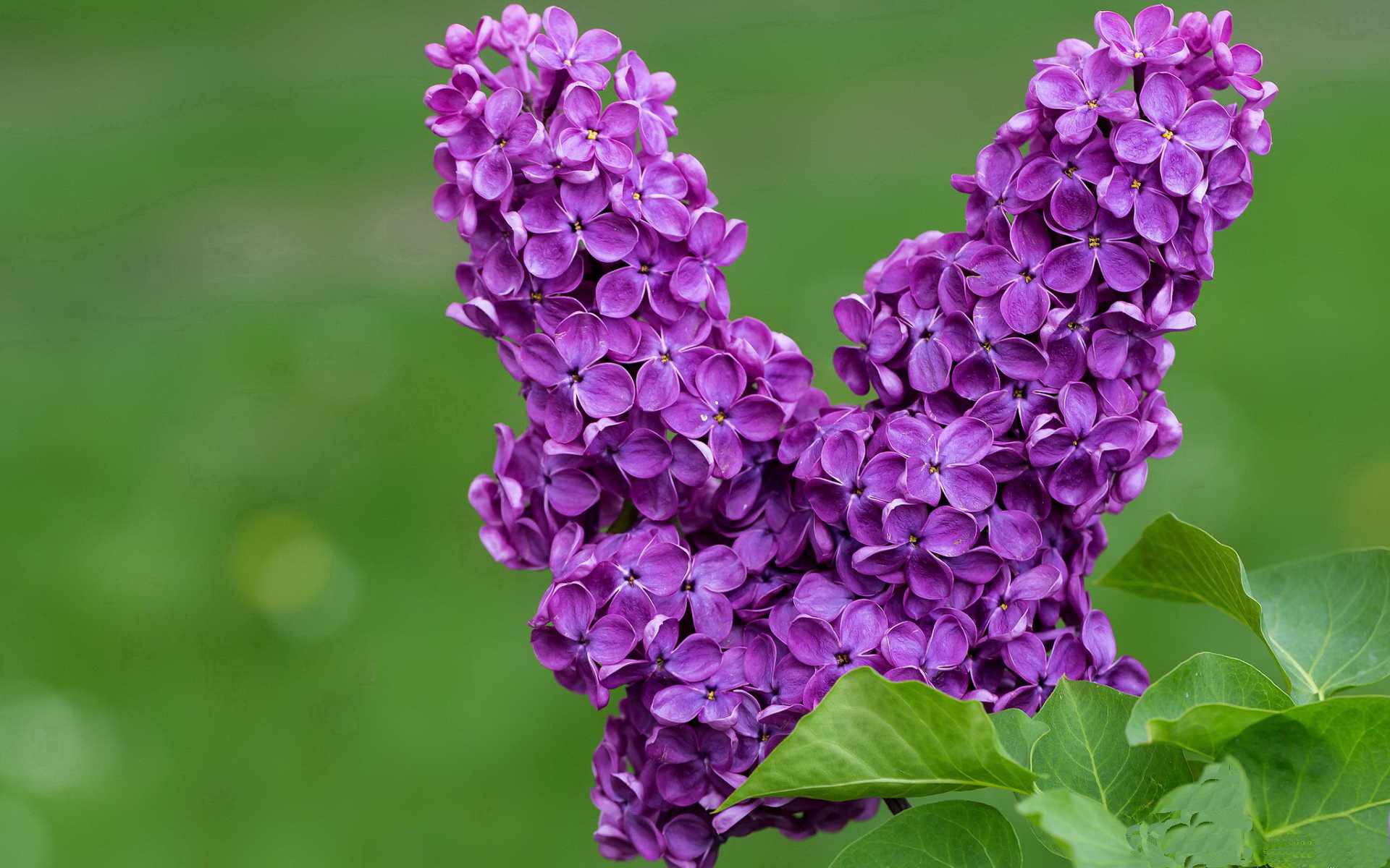 爱游戏官网-萨拉赫关键回合定乾坤，加纳完胜芬兰展团队荣耀