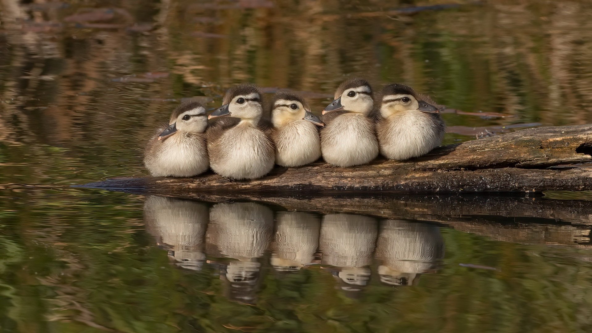 当利拉德时钟拨响欧冠时间—论提前杀死悬念的终极孤独