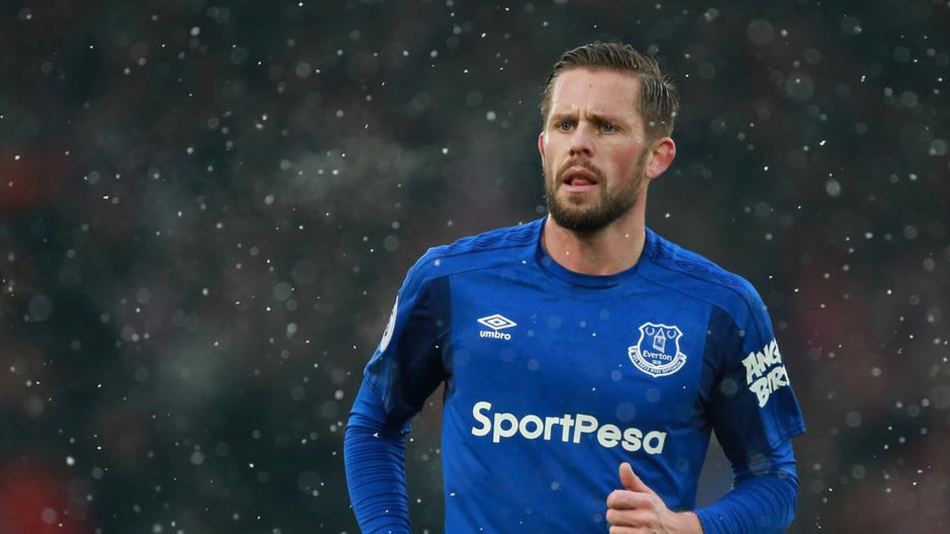 绿茵场上的双重奏,加克波爆发与爱尔兰强势晋级,乌克兰的悲壮夜晚