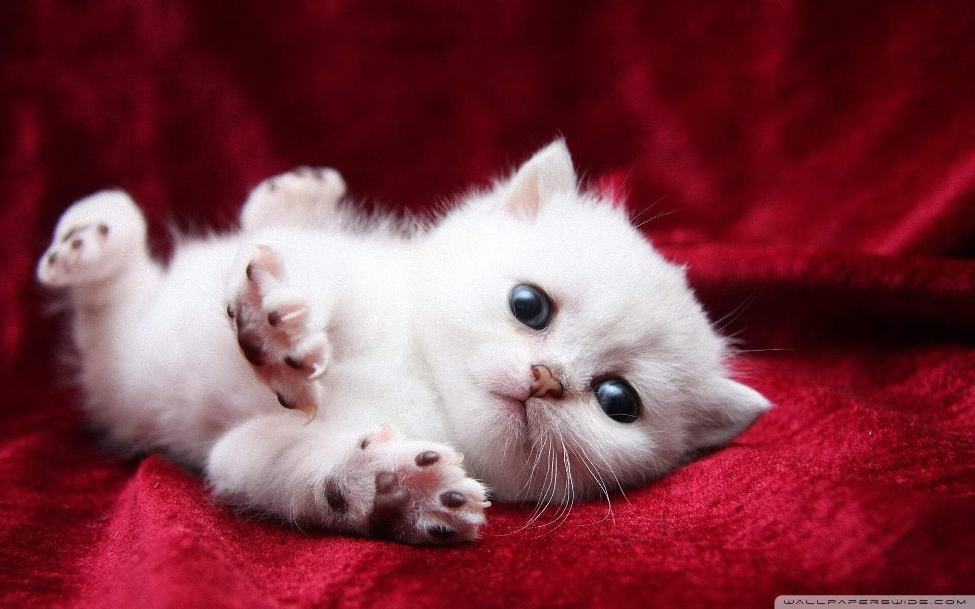 爱游戏tv-铁幕与锁链，阿拉巴冻结对手核心，尤文铁血防守逆转西班牙豪强