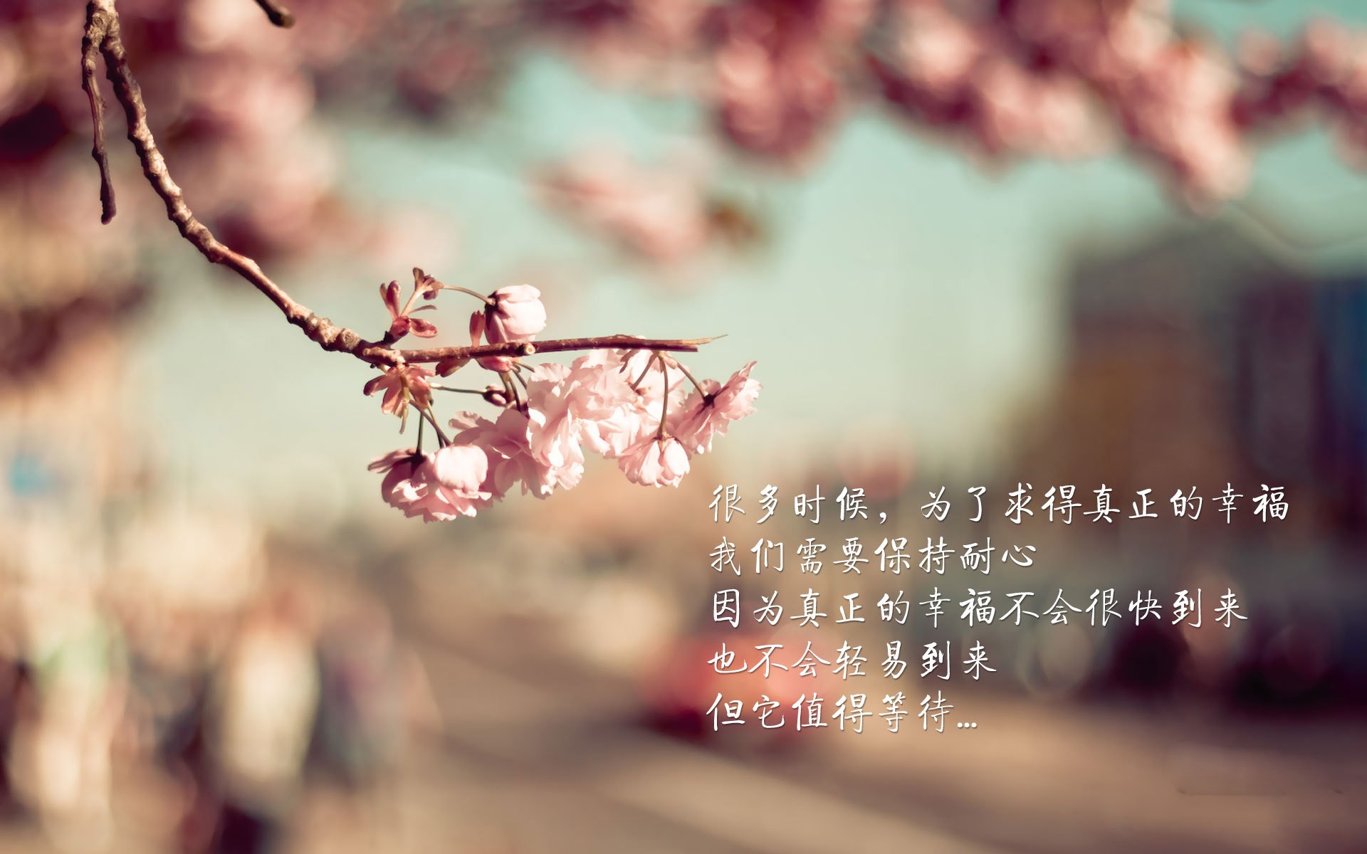 爱游戏大厅-当沙漠雄狮遭遇蓝衣军团，孔德一击定乾坤，那不勒斯突袭突尼斯