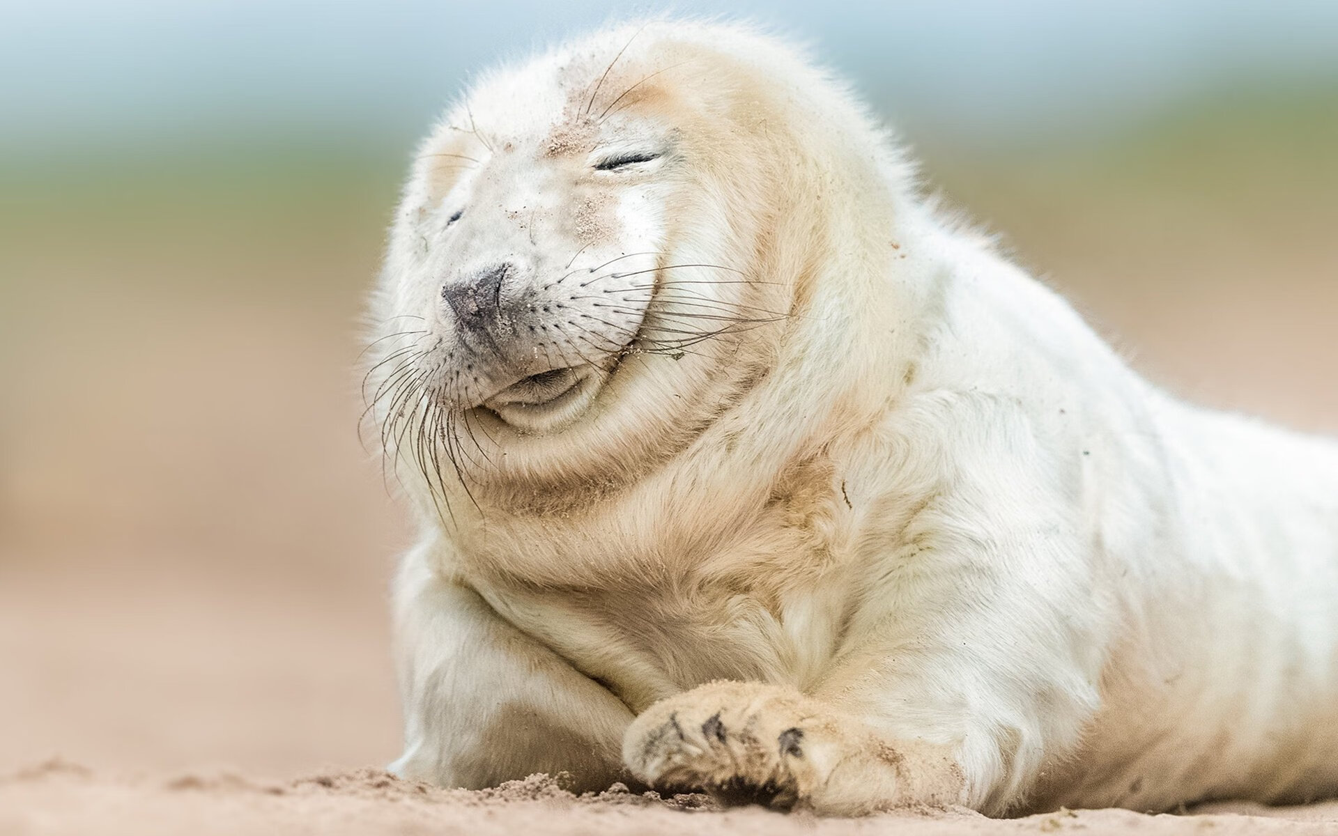 爱游戏下载-萨内一锤定音！哥斯达黎加鏖战晋级，牙买加黯然退场