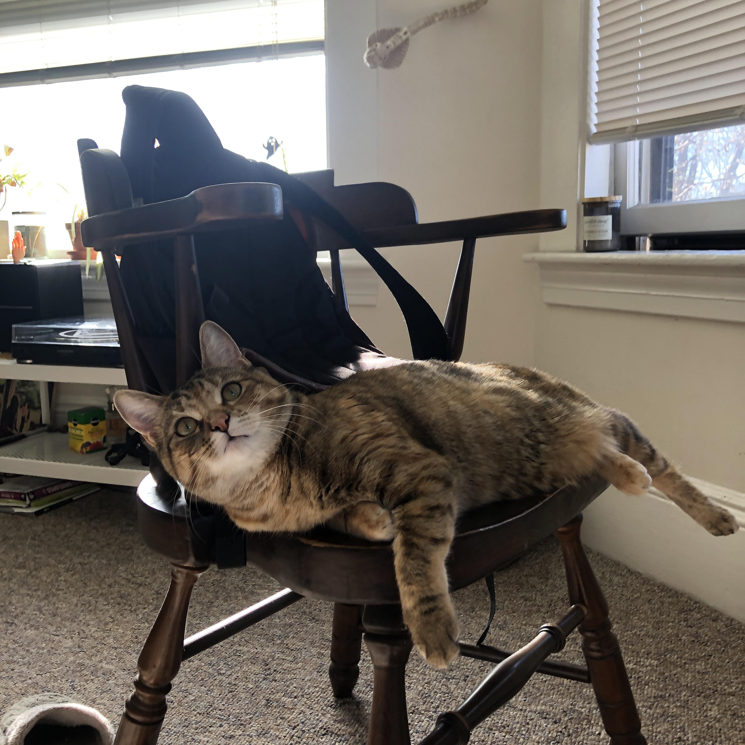 归化之夜，从慕尼黑到伊斯坦布尔，格纳布里在土耳其红月的生涯华章