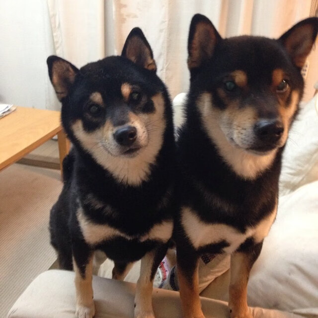 足球的两面性，一场意外与一次必然