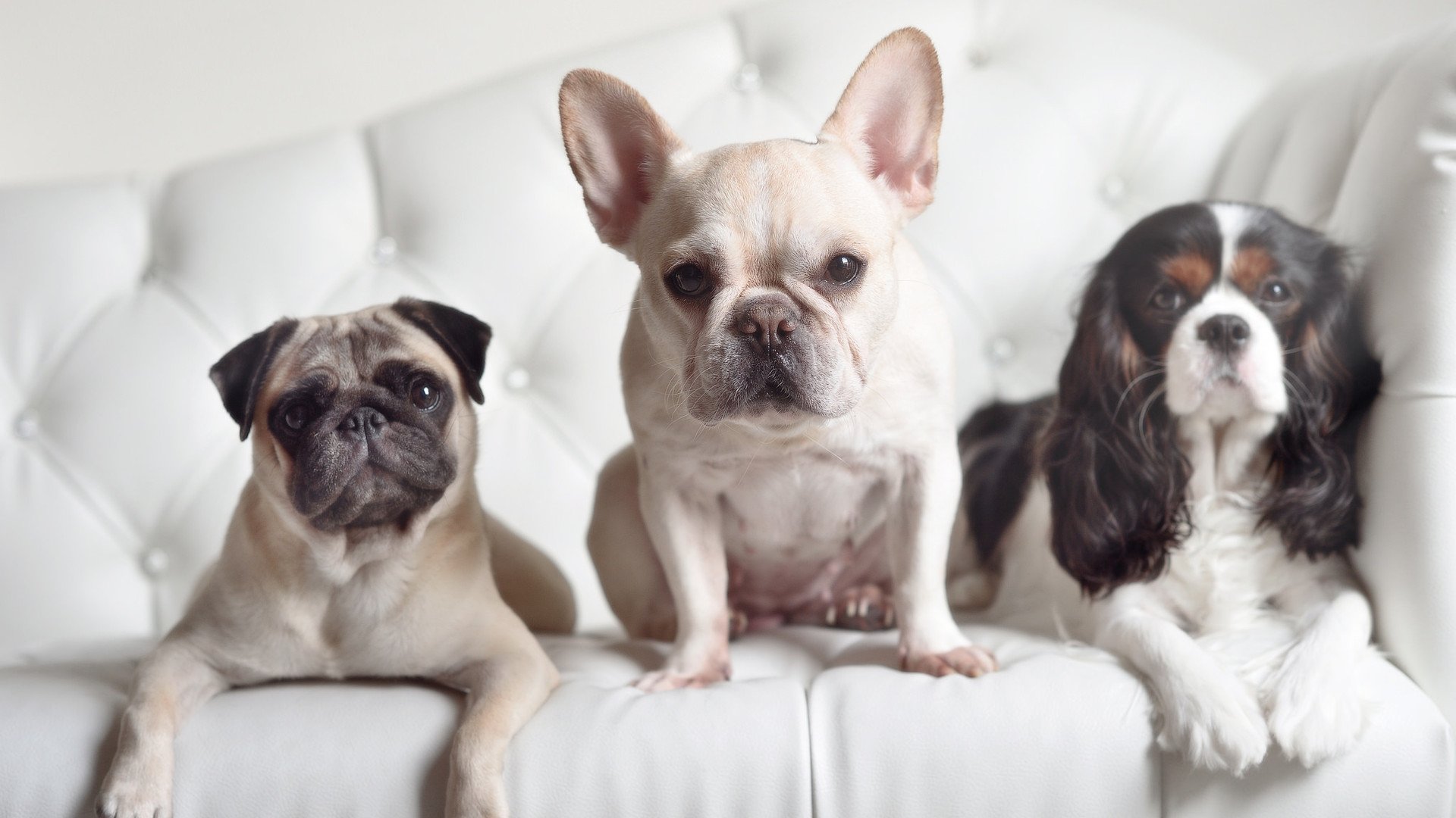 爱游戏APP-镜像战争，当小贾伦的利刃出鞘于黄蜂与马刺的夹缝