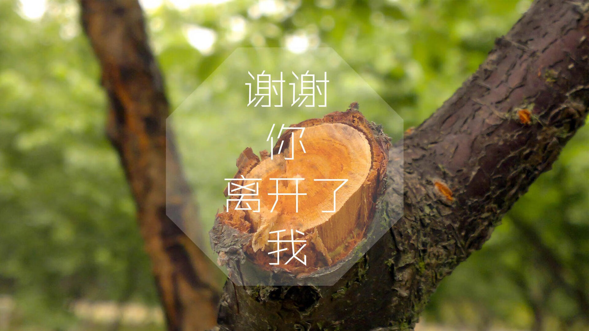 2026，最后一舞的悲喜两重天—葡萄牙绝杀阿根廷，孙兴慜带队书写控球传奇