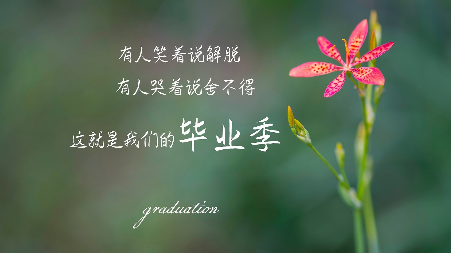爱游戏官方入口-致命桑巴，撕裂樱花，内马尔的天外飞仙，将2026世界杯C组钉在历史的唯一性上