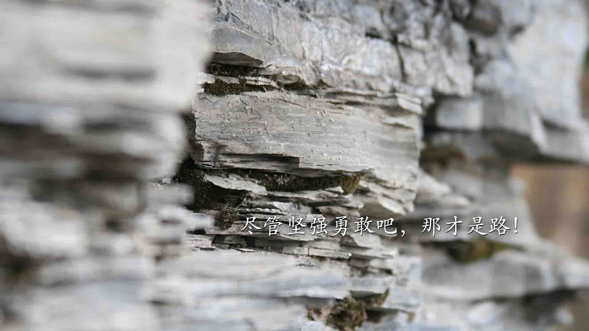 这是一篇为您定制的文章,旨在突出唯一性与爆冷的戏剧张力