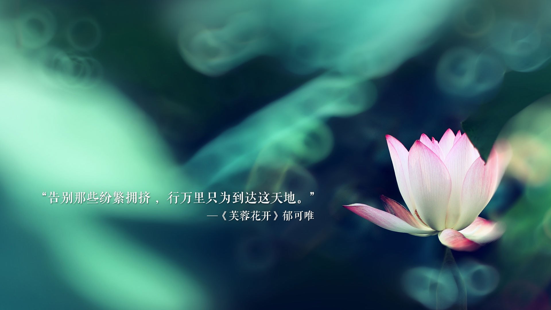 爱游戏APP-铁骑碾碎新月，捷克用最不捷克的方式，赢下了一场最捷克的胜利